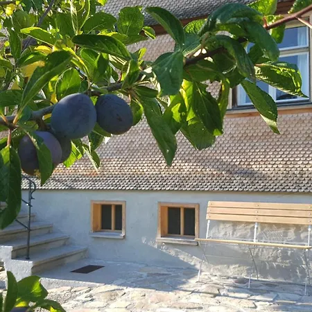 Bregenzerwalderhaus Ambros Bezau