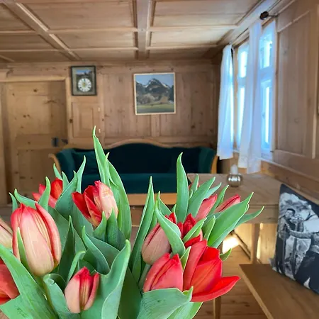 Lejlighed Bregenzerwalderhaus Ambros